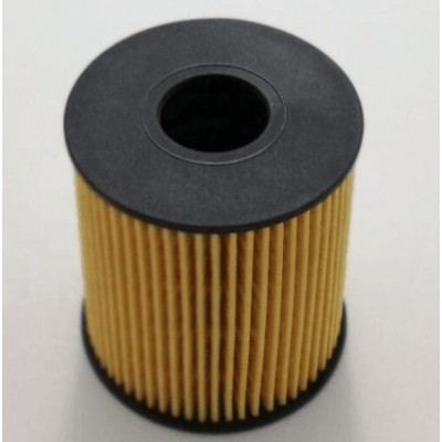 Auto Oil Filter 1717510 1303476 6C1Q-6744-AA for Ford transit trucks